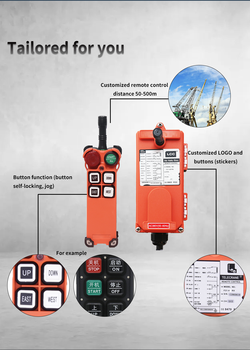 F21-4S LCC (2) Placa 