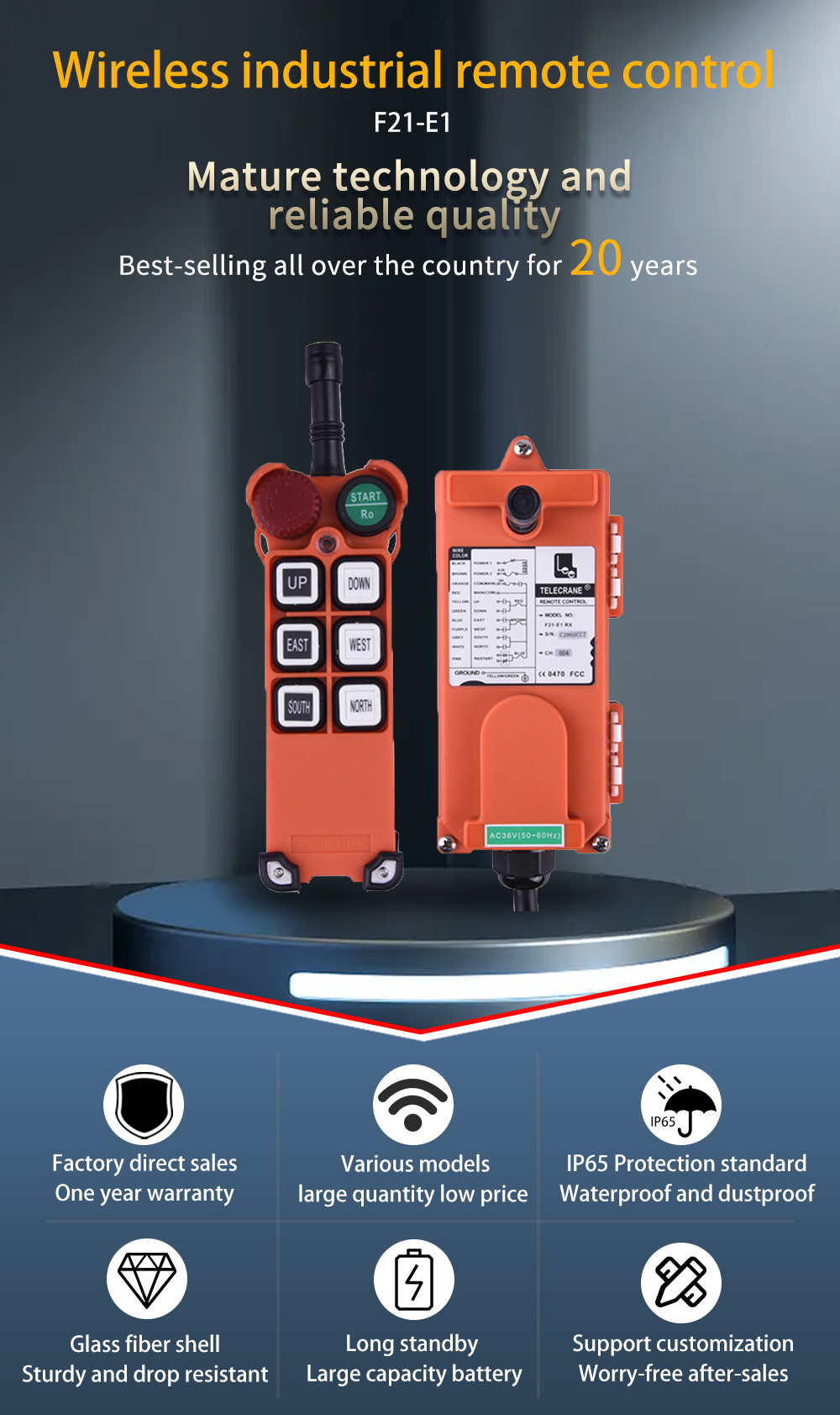 Placa F21-E1 LCC (1) Placa 