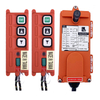 F21-2D Industrial Small Electric Tinch Telecrane Radio Rodote Controle