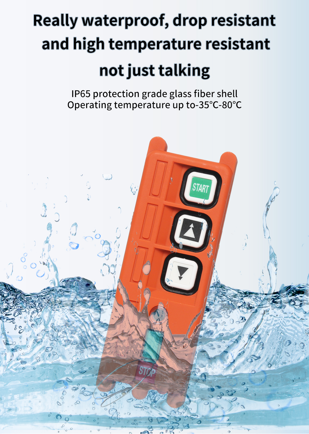 F21-2S LCC (4) Placa 